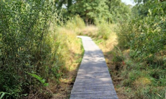Gaas vervangen vlonder Laarzenpad