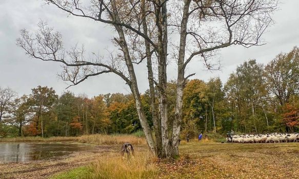 Landelijke natuurwerkdag