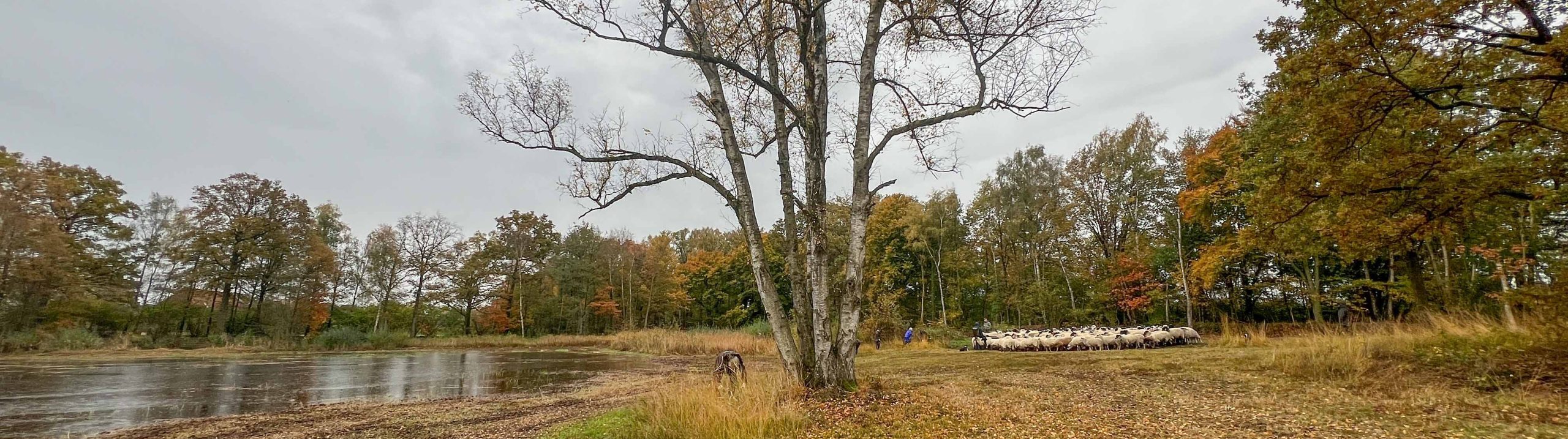 Landelijke natuurwerkdag