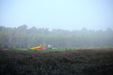 IMG_6407