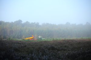 IMG_6407