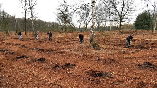 Onze vrijwilligers aan het werk op een perceel in de Formerhoek.
Nadat SBB machinaal de plantgaten heeft voorgeboord, worden hier jonge eikenboompjes aangeplant.